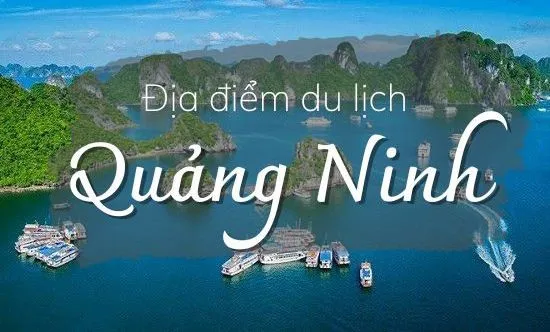 Nội Bài- Quảng Ninh