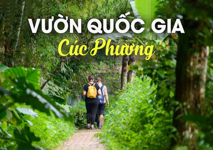 Taxi Nội Bài đi Cuốc Phương Ninh Bình giá rẻ